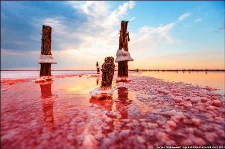 Rực rỡ khu đầm muối tuyệt đẹp ở bán đảo Crimean - 16 Đình Huế